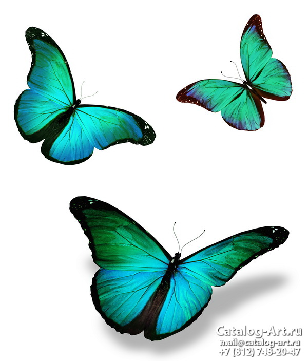  Butterflies 50